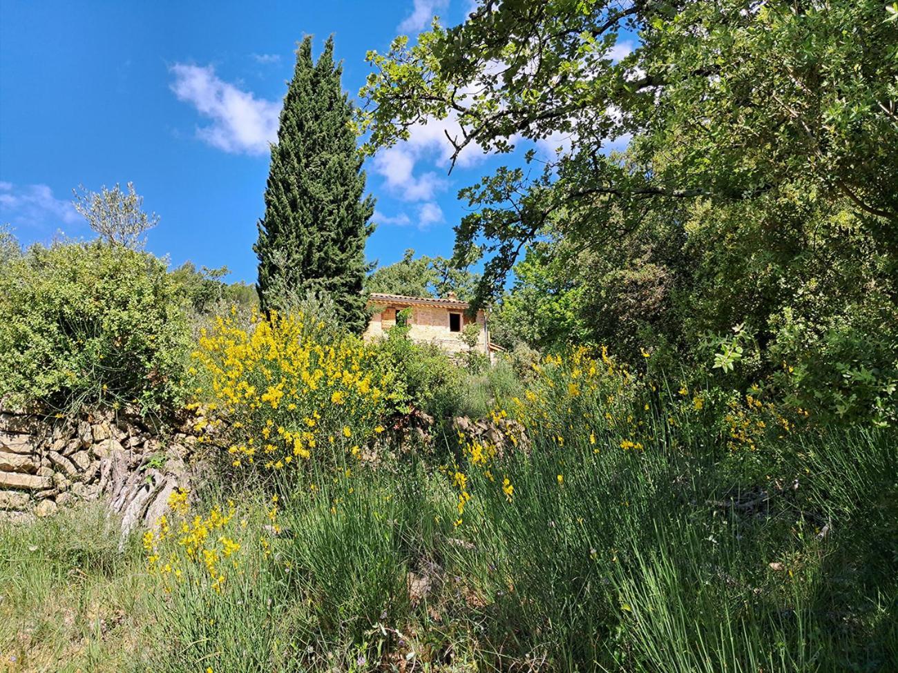 Bastidon Provencal Off-grid *