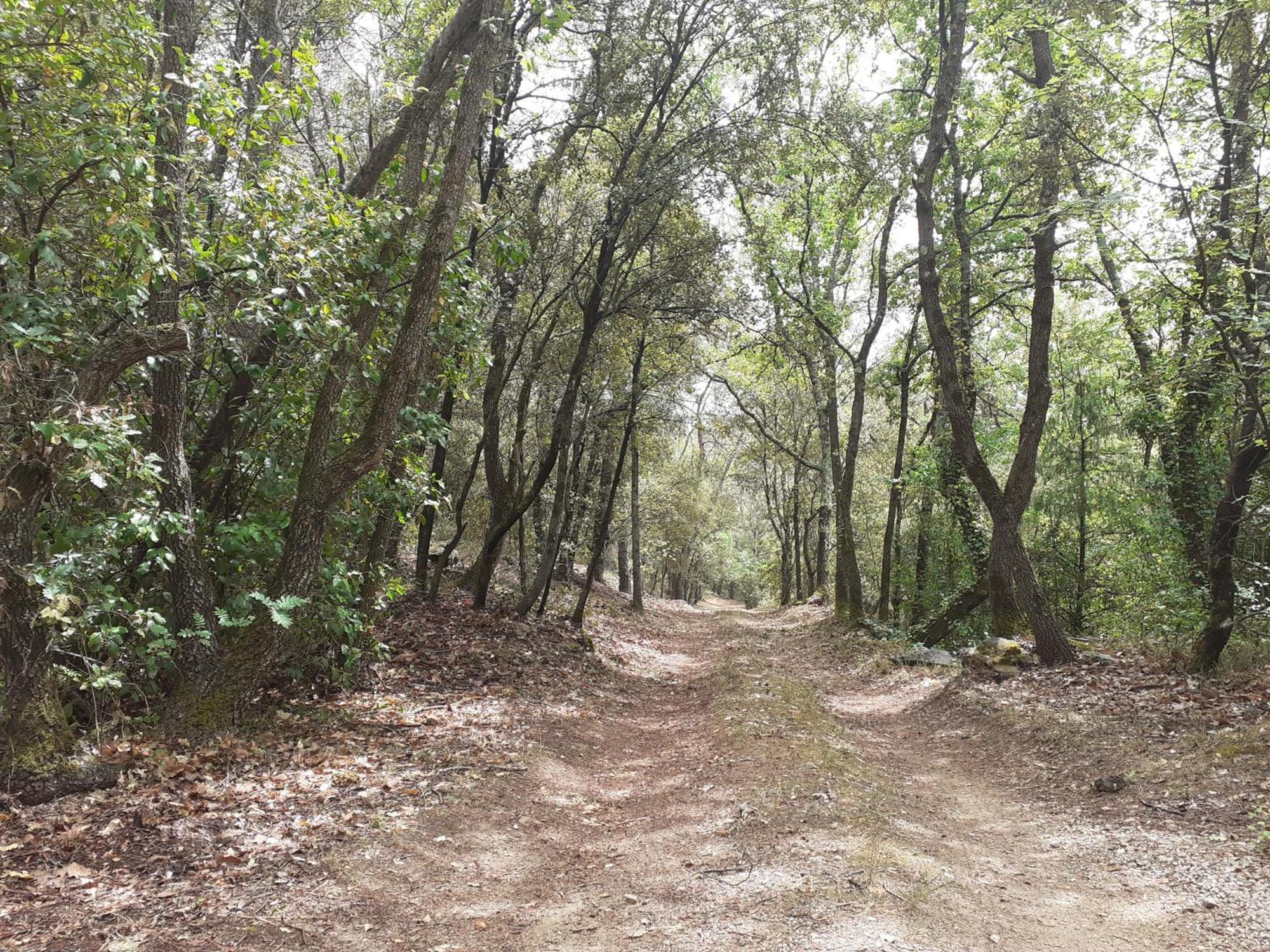 Bastidon Provencal Off-grid Salernes